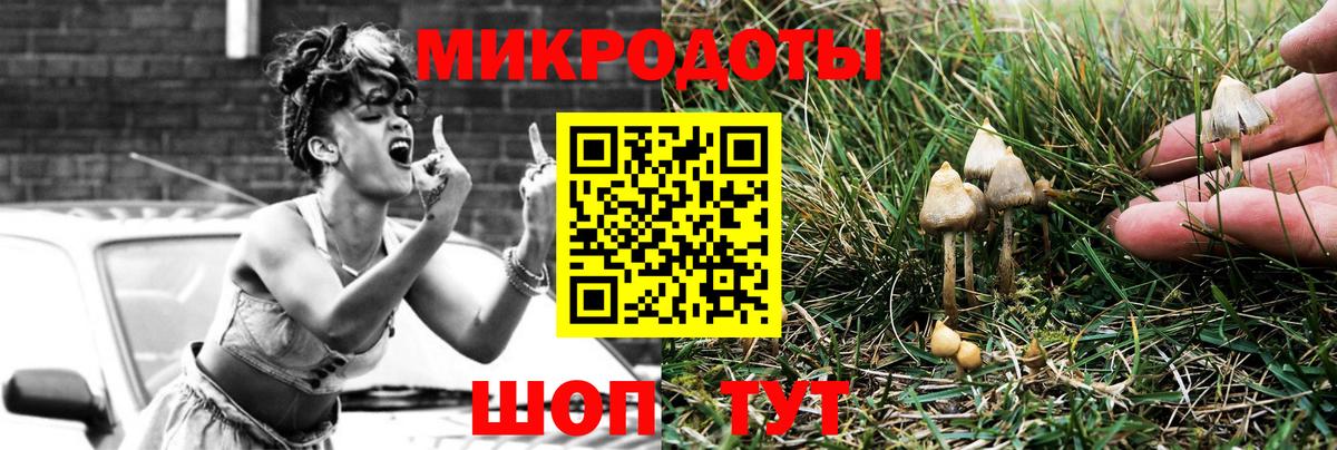 Санкт-Петербург  Псилоцибиновые грибы мухоморы  Вход с VPN 