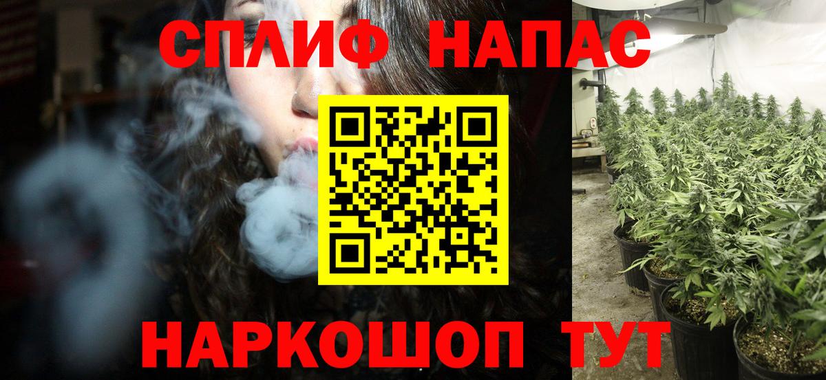 Конопля Amnesia Санкт-Петербург